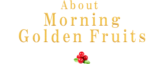 About Morning Golden Fruits
