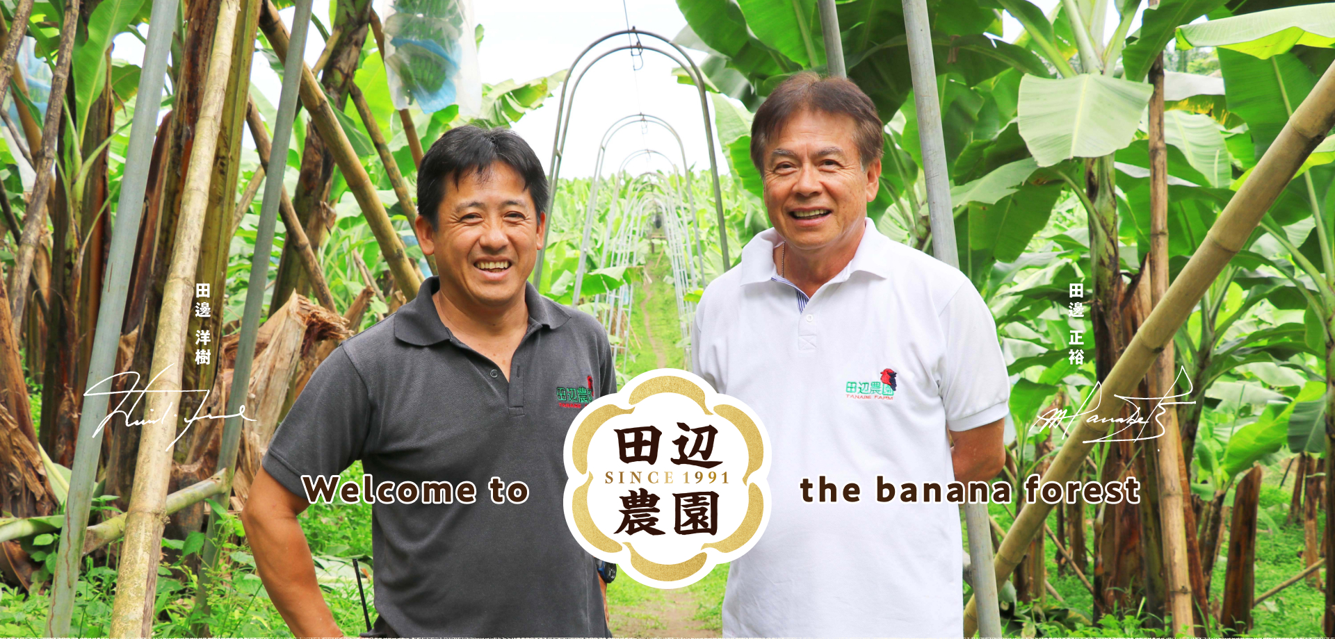 Tanabe Farm, Welcome to the banana forest