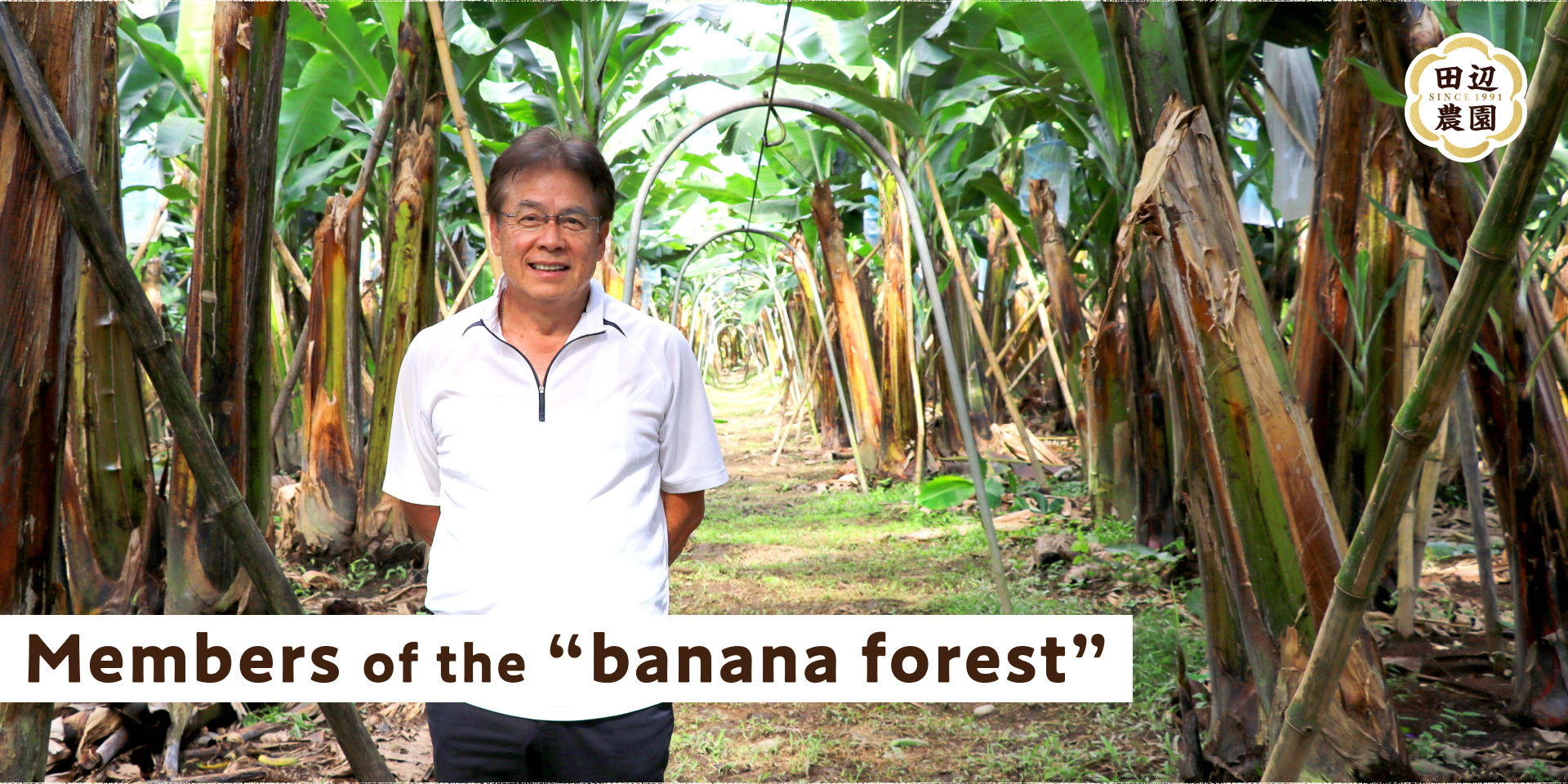 Members of the "banana forest"