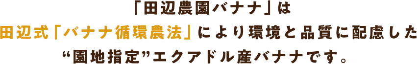 「田辺農園バナナ」は田辺式「バナナ循環農法」により環境と品質に配慮した“園地指定”エクアドル産バナナです。