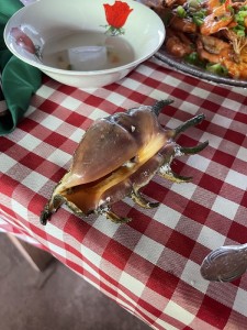 料理③